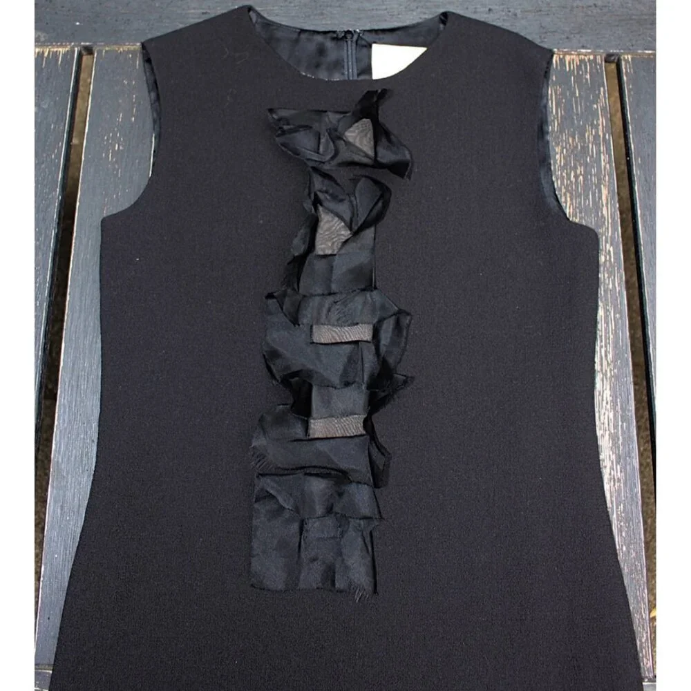 Olivine Gabbro - Sleeveless Wool Sheath Dress with Silk Organza Accents, size 4 - Picture 4 of 15
